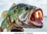 Extremely Sloppy Productions - Bass Fishing On A Warm Summer Day!