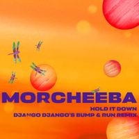 Morcheeba - Hold It Down (Django Django's bump & run remix)