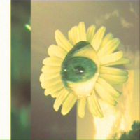 lalala bite me bitch - skin sprouting daisies 1997