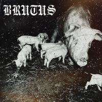 Held In Contempt - Brutus