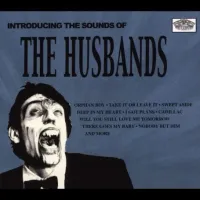 The Husbands - Introducing the Sounds of The Husbands
