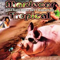 La Chanchona Del Chaparralo - Atardecer Tropical