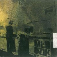 Młodzik - Laboratorium