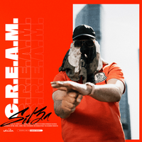 SIL3A - C.R.E.A.M.