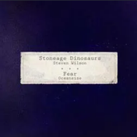 Steven Wilson - Stoneage Dinosaurs / Fear