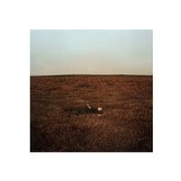 Fink - I Buried All The Answers