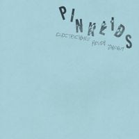 PINKLIDS - Electrician's Fever Dream
