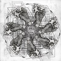 Poly-Math - Reptiles