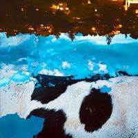Squooglery - Hyperfix/0 Canyon (Streaming Version)