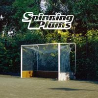 Spinning Plums - Spinning Hours