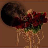 MAVI - No Roses