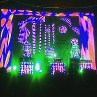 Animal Collective - Live at Fonda Theatre March 9, 2016