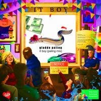 gladde paling - it boy (paling Mix)