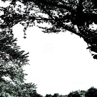 HWA - Demo 2025