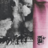 Vienna Vienna - Grief Is For The Living