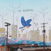 Sasha Allen - The Bluebirds