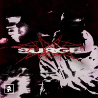 Habstrakt - SURGE