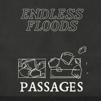 Endless Floods - Passages