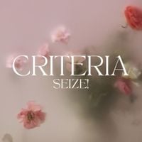 Criteria - SEIZE!