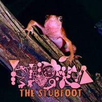 Phyllomedusa - The Stubfoot