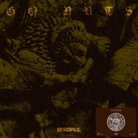 TYPHON - Go Nuts