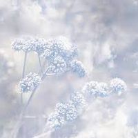 Poemme - Frozen Passages