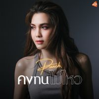 พั้นช์ วรกาญจน์ (Punch) - คงทนไม่ไหว