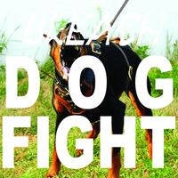 BLEACH - Dog Fight