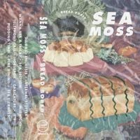 Sea Moss - Bread Bored