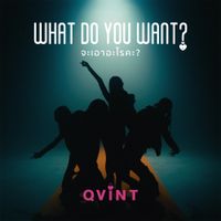QViNT - What Do You Want?