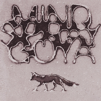 Spray - mindspray goya