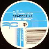 Roni Size - The Snapshot (Krust Remixes)