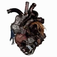 Rian Brazil - engine heartbreak
