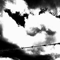 Frail Hands Destroy Each Other - All Failings Exposed
