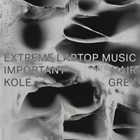 Important Hair - Extreme Laptop Music