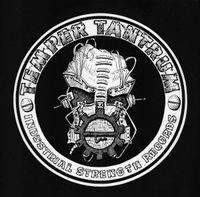 Temper Tantrum - Take Care, Comb Your Hair