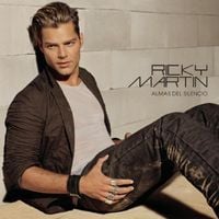 Ricky Martin - Almas del Silencio