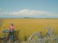 Takuya Nakamura - jazz jungle mix at Japanese rice field l Takuya Nakamura l login.jp l juke dnb chill