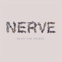 Jojo Mayer & Nerve - Music for Sharks