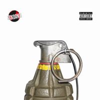 Major RD - Pino Da Granada