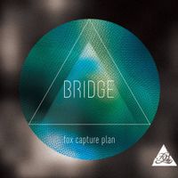 Fox Capture Plan - Bridge