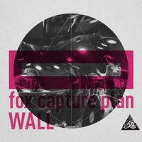Fox Capture Plan - Wall