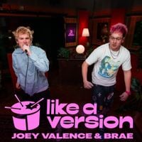 Joey Valence & Brae - Security (triple j Like A Version)