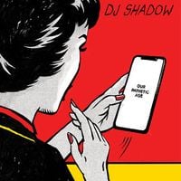 DJ Shadow - Urgent, Important, Please Read
