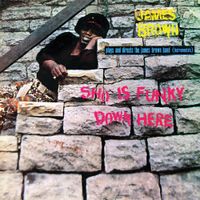 James Brown - Sho Is Funky Down Here