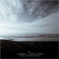 Vorso - I Know It Hurts Now (Toka & Vorso Remix)