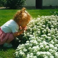 Hollyn - Theology of Beauty: Spring