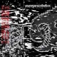 yourorgansonthefloor. - SURREALITY