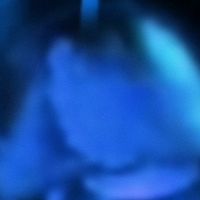 User-177606669 - miaosongs