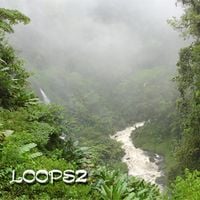 Nature's Kid - Loops2